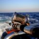 Go to Chasing Tail: A Morning on the Water